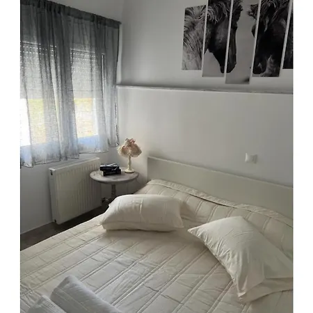 Veta *